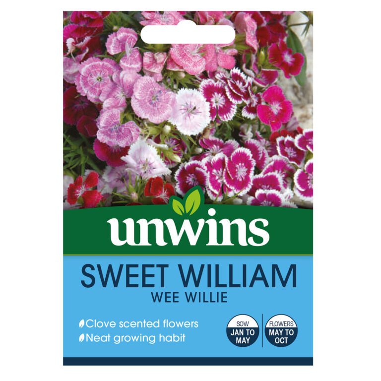 5051618032360 1 Sweet William Wee Willie Seeds.jpg